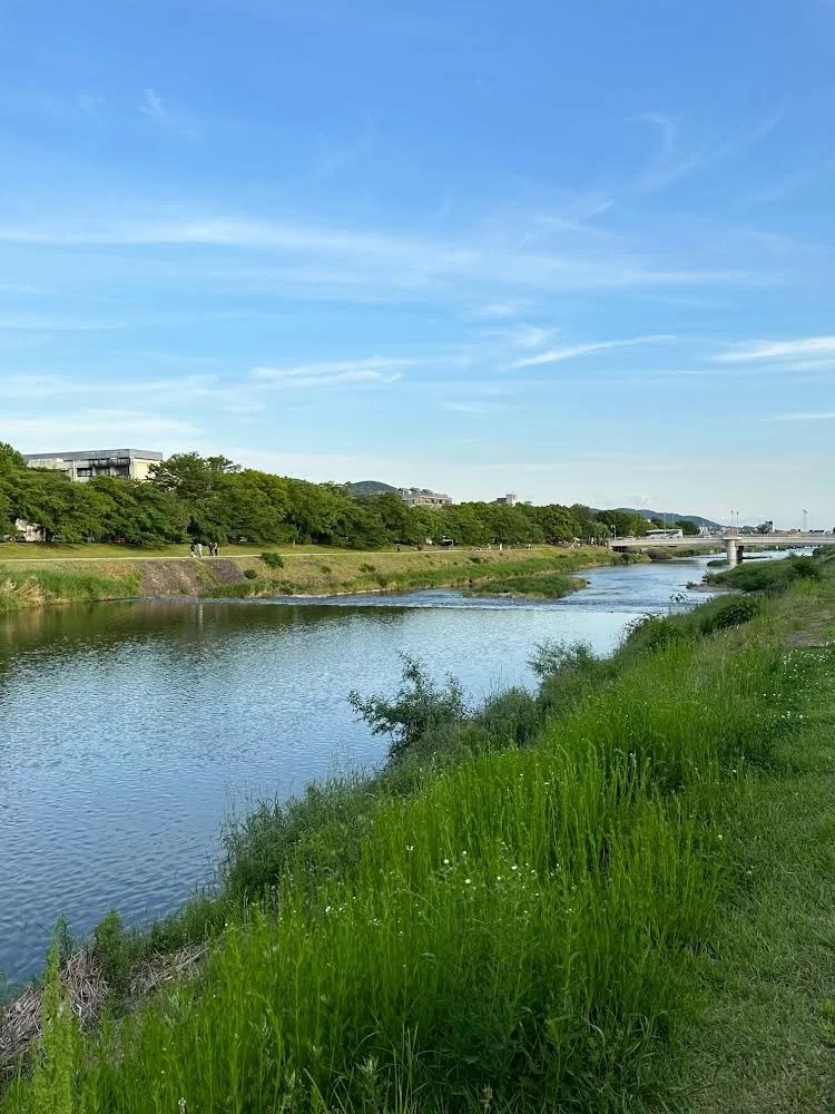 Kamogawa launch day (photo by Jann Williams)